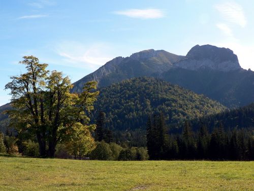 Slovakija, Vysoké Tatry, Kalnai, Gamta, Tatry, Ruduo, Murano, Belianske Tatry, Aukštas Tatras