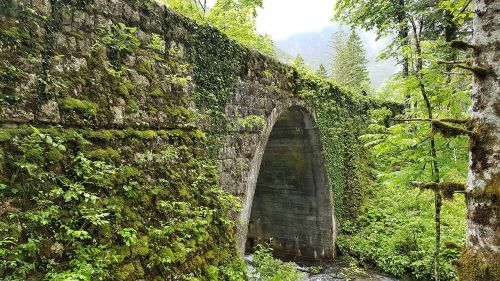 Slovenia, Gamta, Tiltas, Upė, Kraštovaizdis, Medžiai, Vasara, Žalias