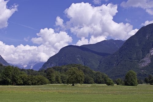 Slovėnija,  Soca Slėnis,  Bovec,  Kalnų,  Medžiai,  Meadow,  Laukas