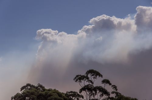 Dūmai, Debesys, Bushfire, Ugnis, Dangus, Pilka, Mėlynas, Balta, Horizontas, Medžiai, Australia