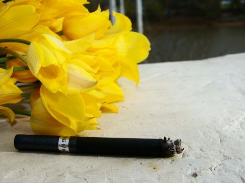 Rūkymas, Cigarečių, Gėlės, Pavasaris