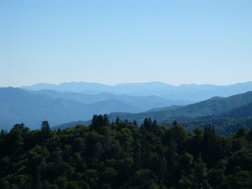 Dūminiai Kalnai, Tennessee, Kraštovaizdis, Dykuma, Apalachianas