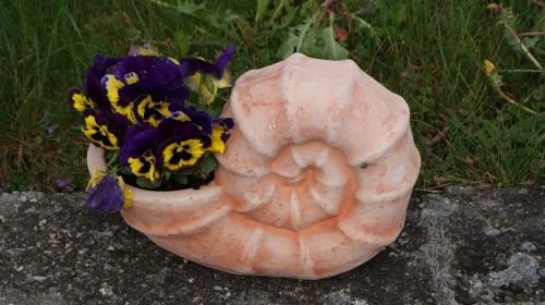 Sraigė, Kibiras, Gėlės, Keramika