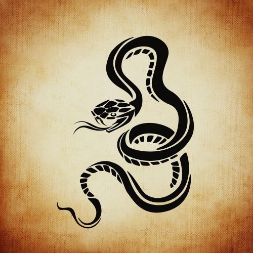 Gyvatė, Pavojingas, Fonas