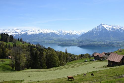 Čiaudėjimas, Ežeras Thun, Berni Oberland, Kalnai, Thun Hausberg, Šveicarija, Ežeras, Kraštovaizdis, Pavasaris