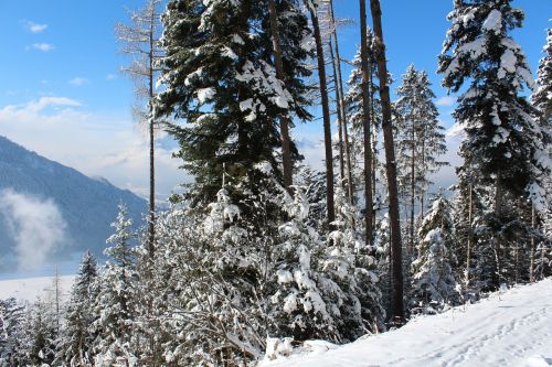 Sniegas, Žiemos Sportas, Kalnai, Austria, Alpės, Alpbach
