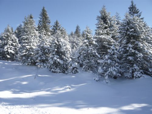 Sniegas, Kalnai, Žiemą, Žiema, Alpių, Mittenwald, Kalnų Panorama, Medžiai