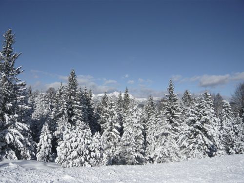 Sniegas, Kalnai, Žiemą, Žiema, Alpių, Mittenwald, Kalnų Panorama, Medis, Dangus, Miškas