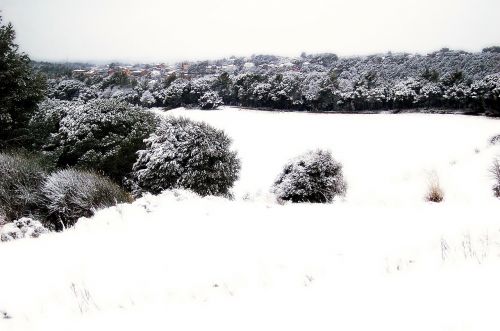 Sniegas, Nevada, Žiema, Kraštovaizdis, Snieguotas Kraštovaizdis, Balta, Šaltas, Gamta, Taika, Atmosfera