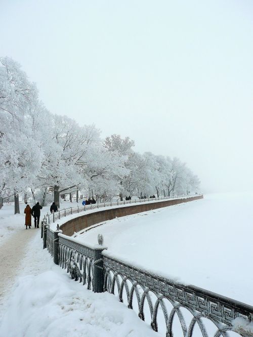 Sniegas, Žiema, Rusija, Sankt Peterburgas