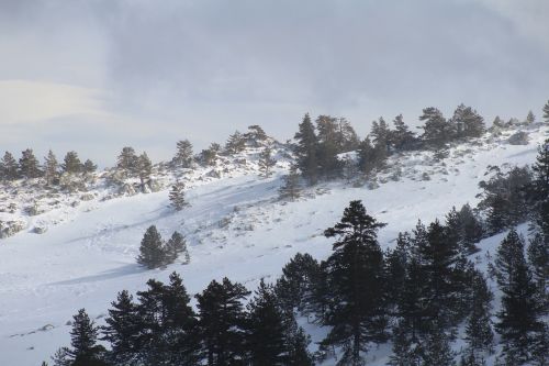 Sniegas, Kartalkaya, Žiema, Okaja