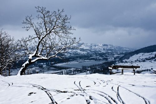 Sniegas, Kraštovaizdis, Gamta, Medis, Žiema