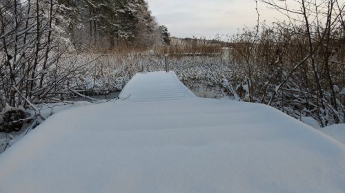 Sniegas, Žiemą