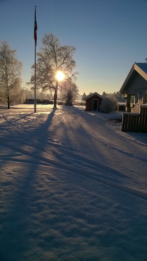 Sniegas, Norvegija, Medis, Namas