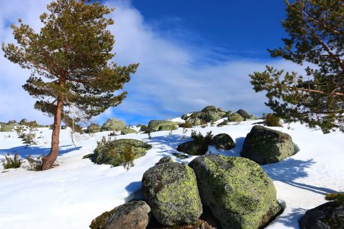 Sniegas, Žiema, Kraštovaizdis, Kalnas, Serra Da Estrela
