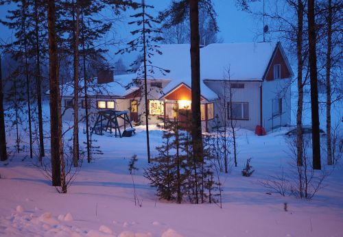Sniegas, Namas, Finland, Laplandas, Medžiai, Žiema, Šaltas, Snieguotas, Naktis, Conifere, Miškas