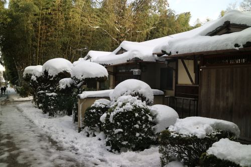 Sniegas, Lanshan, Rąstinis Namelis