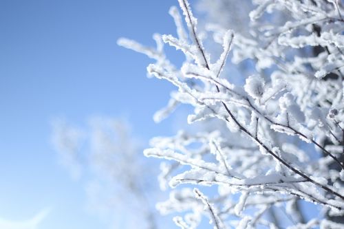 Sniegas, Harbin, Žiema