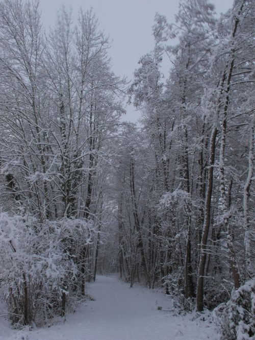 Sniegas, France, Nemokama Nuotrauka