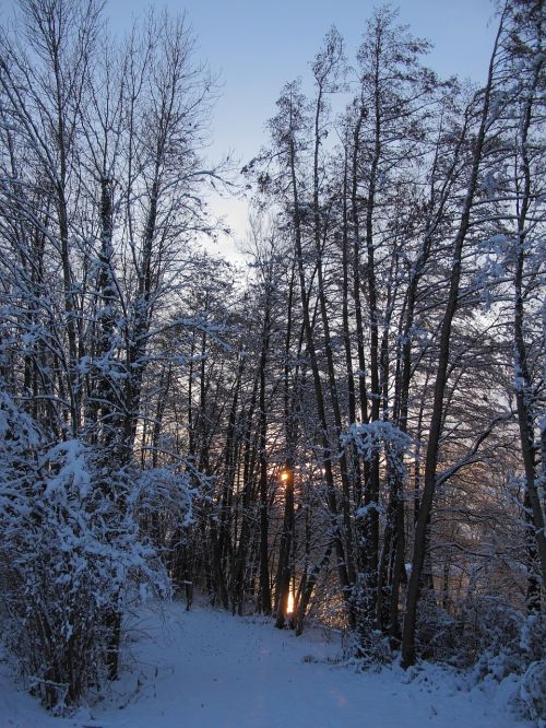 Sniegas, France, Nemokama Nuotrauka, Upė, Saulė