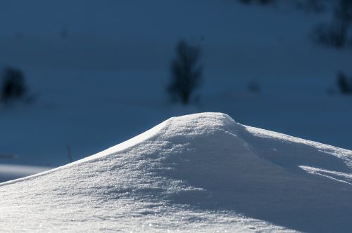 Sniegas, Žiema, Gamta, Kraštovaizdis