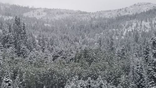 Sniegas, Miškas, Kalnai, Šaltas, Žiema, Oras, Ledas