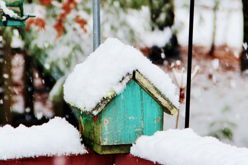 Sniegas, Žiema, Birdhouse, Šaltas, Balta, Sezonas, Gruodžio Mėn .