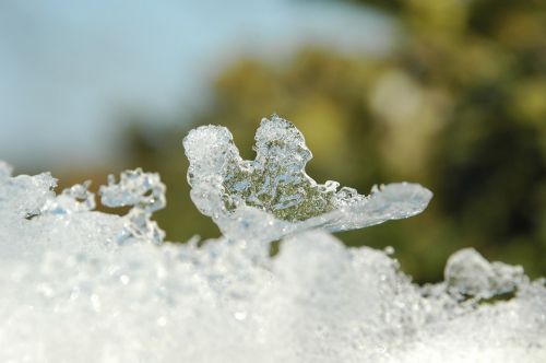 Sniegas, Žiema, Žiemos Peizažai, Kraštovaizdžio Nuotrauka, Žiemos Scenos, Sniego Gėlė, Baltas Sniegas