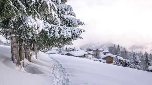 Sniegas, Žiema, Šaltas, Šaltis, Sušaldyta, Kalnas, Gamta, Kraštovaizdis