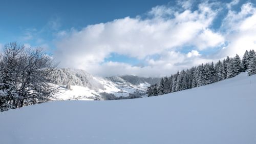 Sniegas, Žiema, Šaltas, Šaltis, Ledas, Kalnas, Kraštovaizdis, Panorama, Mediena