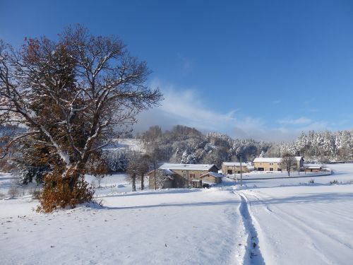 Sniegas, Žiema, Šaltas, Medis, Šaltis, Auvergne