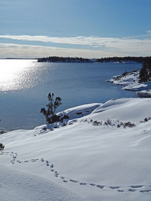Sniegas, Žiema, Ledas, Takelius, Stokholmo Salynas