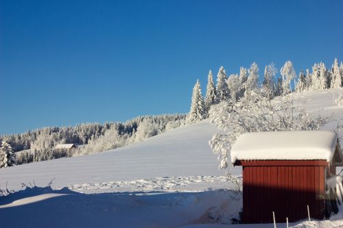Sniegas,  Žiema,  Šaltas,  Kalnas,  Mediena,  Norvegija,  Be Honoraro Mokesčio