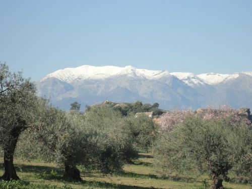 Sniegas, Nieves Sierra, Ispanija, Pavasaris, Alyvmedžiai, Dangus, Andalūzija