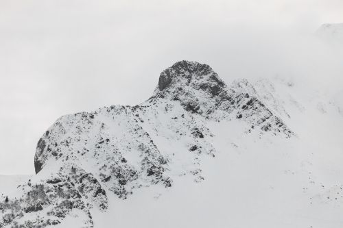 Sniegas,  Gamta,  Žiema,  Kalberg,  Šaltas,  Sniego Danga,  Žiemą,  Eiskristalio,  Balta,  Sušaldyta,  Krūmas,  Sniegas,  Filialai,  Skirtingi Keliai,  Kalnų Viršūnė,  Šveicarija,  Bern,  Gurnigel,  Be Honoraro Mokesčio