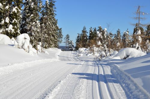 Sniegas,  Žiema,  Trasa,  Suomių,  Slidinėjimas,  Be Honoraro Mokesčio
