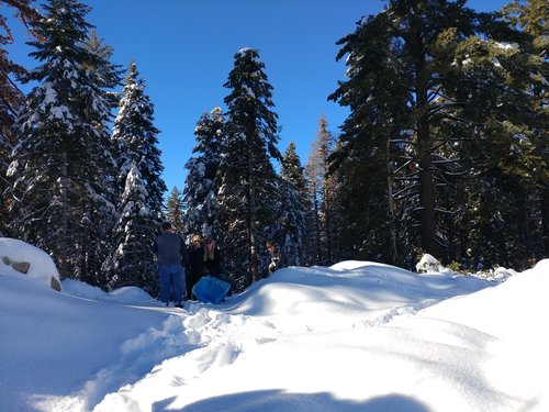 Sniegas,  Pušys,  Pobūdį,  Žiemos,  Kraštovaizdis,  Vaizdingas