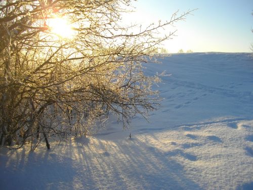 Sniegas, Gamta, Saulė, Žiema