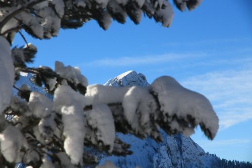 Sniegas, Kalnas, Žiema, Dangus, Medis, Gamta, Italy, Fassa, Dolomitai