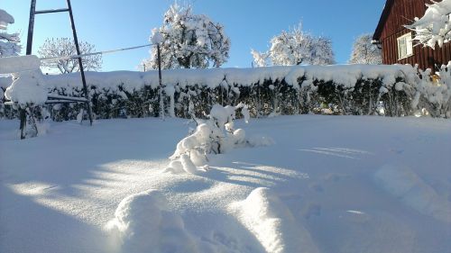 Sniegas, Kraštovaizdis, Žiema 2012, Apsidraudimas, Snieguotas, Balta