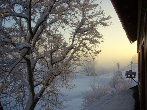 Sniegas, Žiemos Sprogimas, Kraštovaizdis, Morgenstimmung