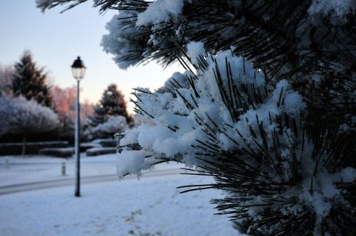 Sniegas, Kraštovaizdis, Aurora, Rytas, Reverberacinis