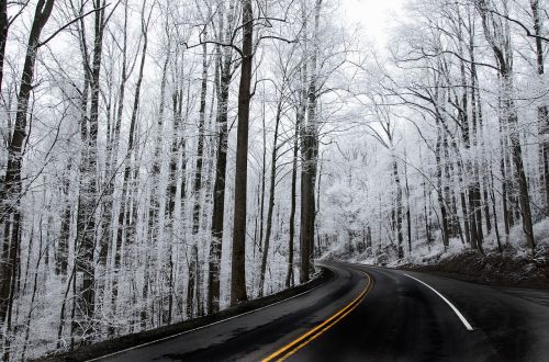 Sniegas,  Medžiai,  Ledas,  Parkway,  Greitkelis,  Žiema