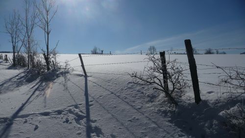 Sniegas, Žiema, Gamta