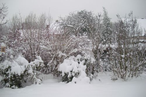 Sniegas, Snaigė, Žiema