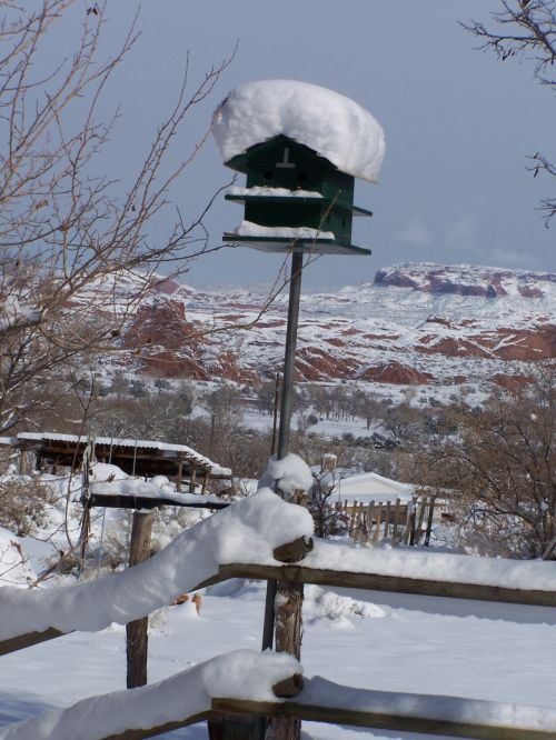 Storas & Nbsp,  Sniegas,  Paukštis & Nbsp,  Namas,  Moab,  Utah,  Sniegu Uždengtas Paukščių Namas