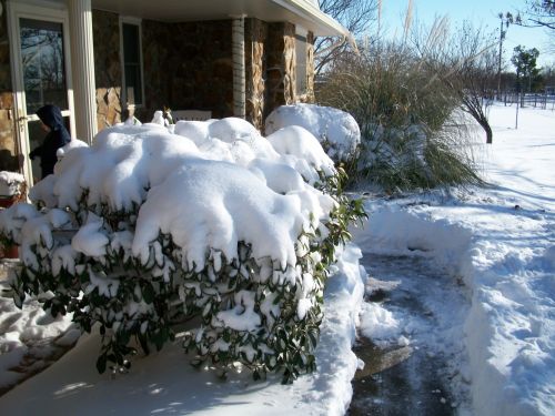 Sniegas,  Oklahoma,  Norman,  Sniegas,  Oklahoma