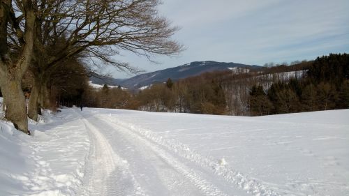 Sniego Kraštovaizdis, Žiemos Scenos, Sniegas