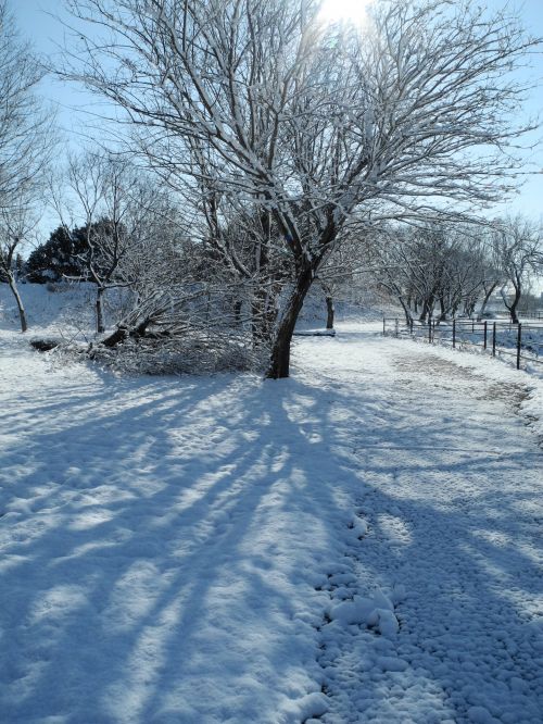 Sniegas,  Gorokugawa,  Gifu,  Japonija,  Sniego Scena