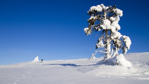 Sniego Batų Sniego Batų Važiavimas, Finland, Laplandas, Žiemą, Žiemos Nuotaika, Šaltas, Äkäslompolo